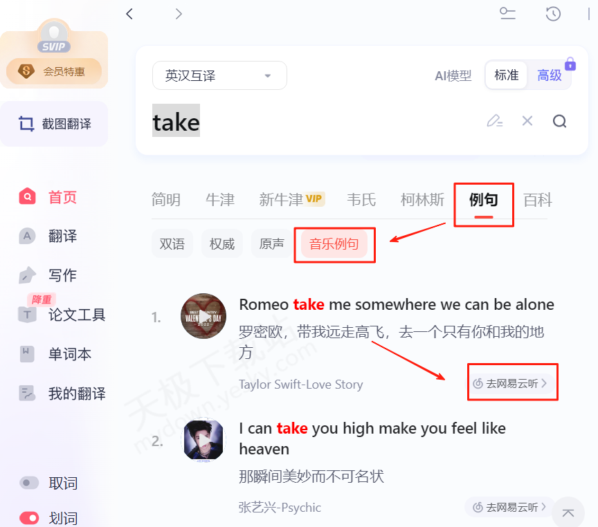有道翻译词典支持查询立陶宛语的声调吗?