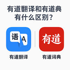 怎样解决有道翻译在墨水屏阅读器上残影的问题?